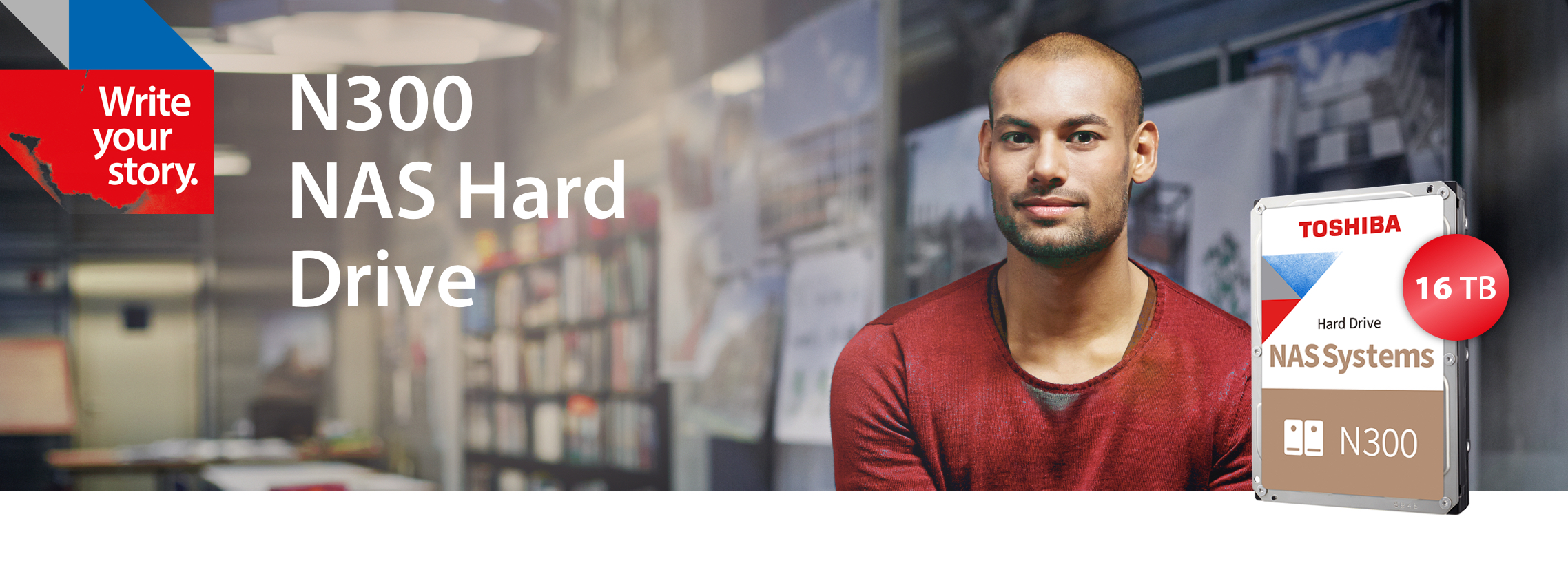 Toshiba Internal Hard Drives N300